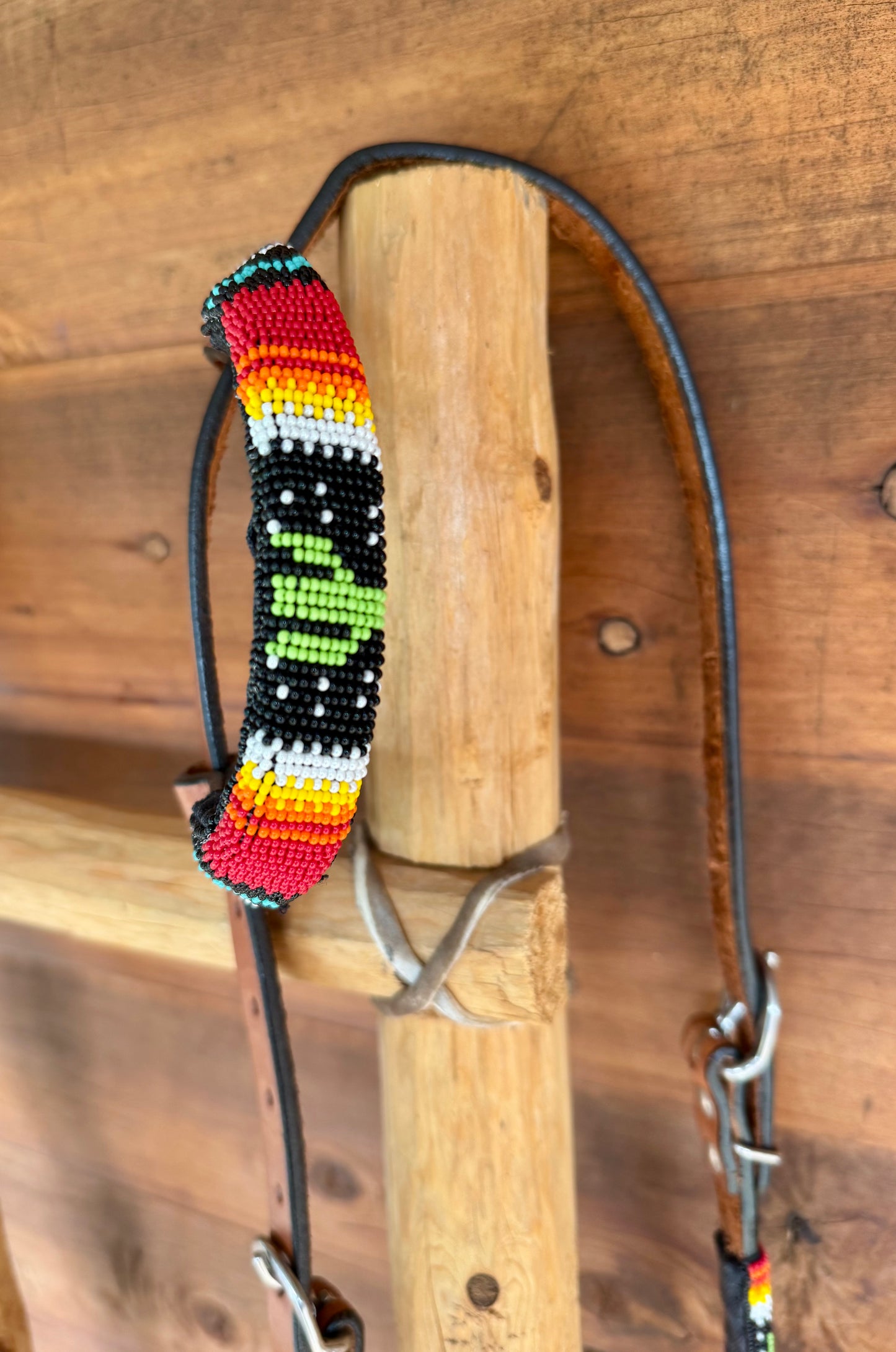 Cactus one ear bridle