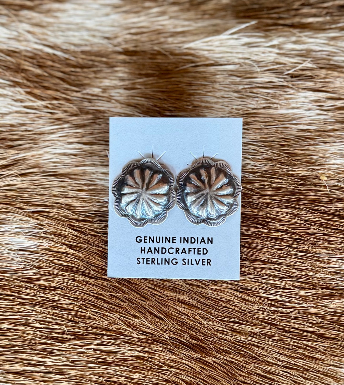 Navajo Earrings by Joan Begay
