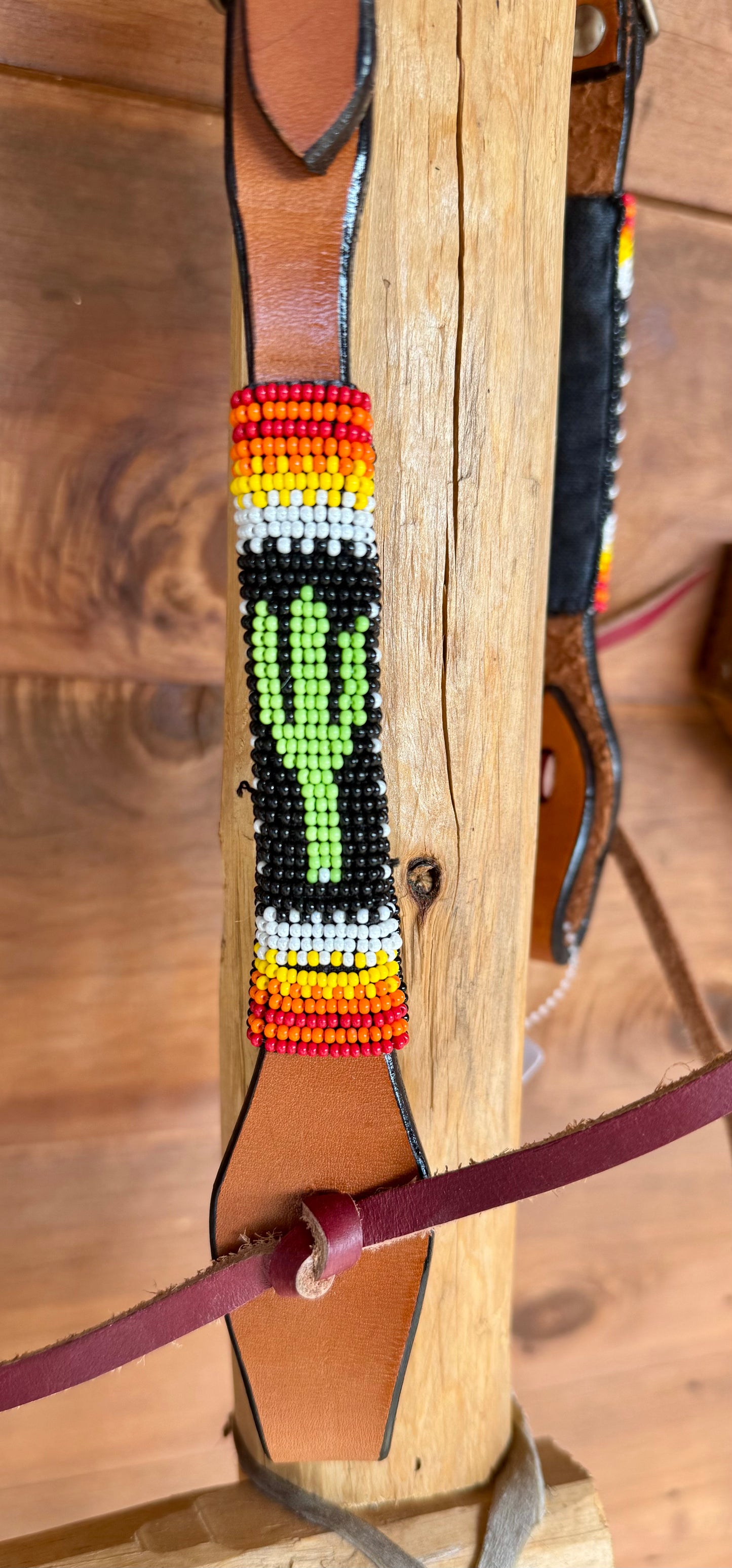 Cactus one ear bridle