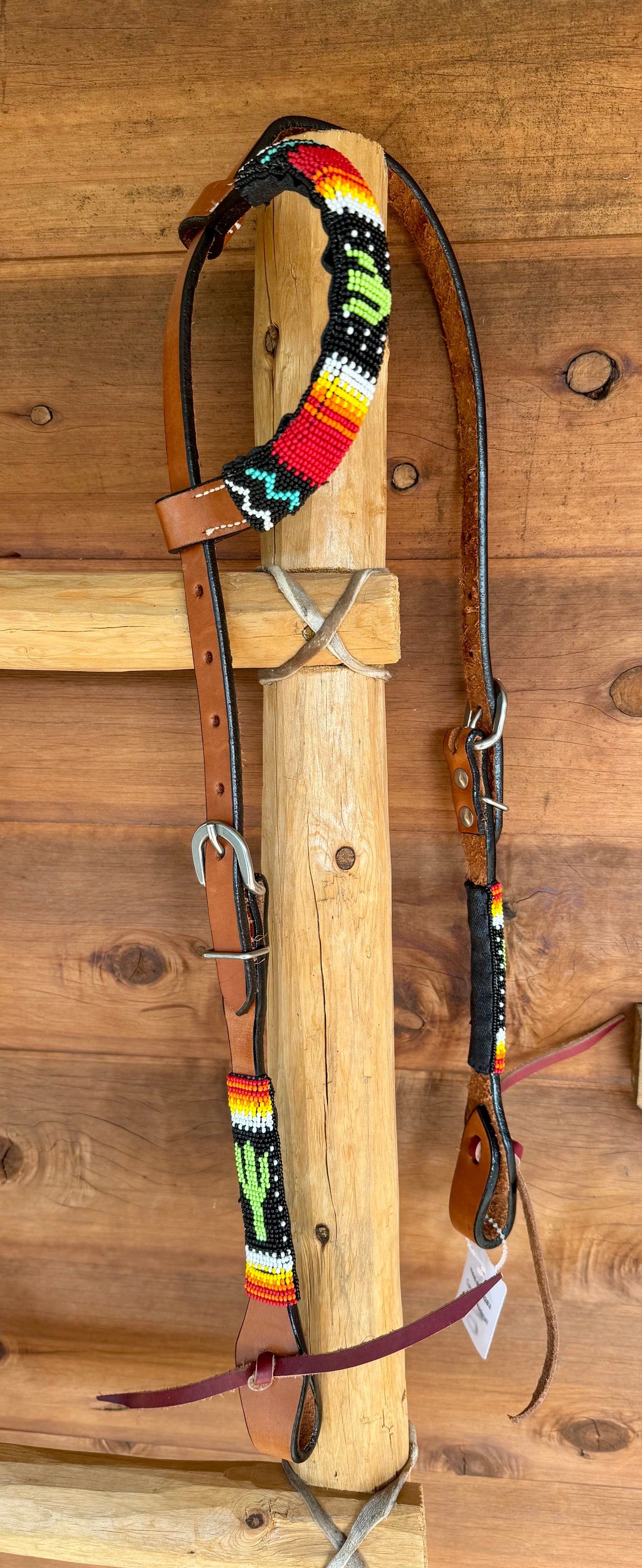 Cactus one ear bridle