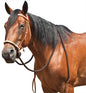 MUSTANG HARNESS LEATHER BREAKING BRIDLE