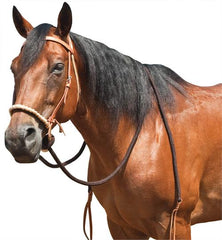 MUSTANG HARNESS LEATHER BREAKING BRIDLE