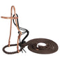 Professional ChoiceLoping Hackamore
