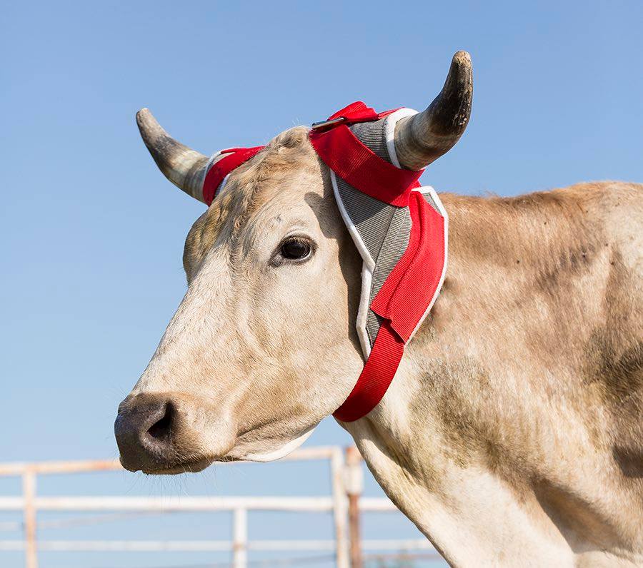 Mustang Stinger Horn Wrap